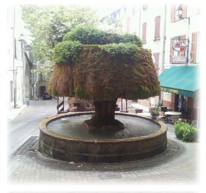 Barjols : fontaine "Le Champignon"